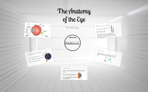 The Anatomy of the Eye by Josh Fiore on Prezi