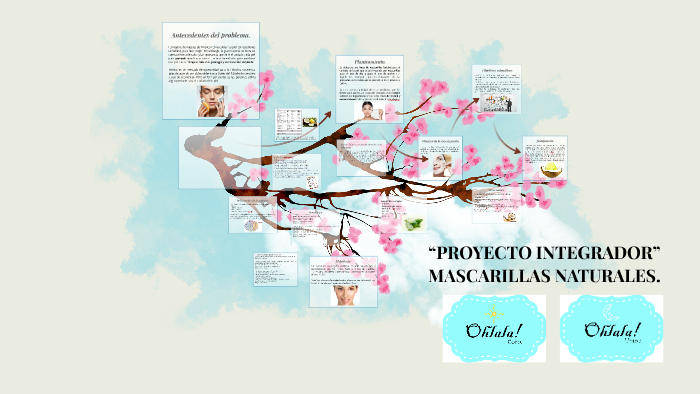 Antecedentes del problema. by Diana Jimenez on Prezi