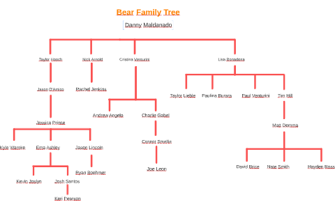 The Bear's Berzatto Family Tree Explained