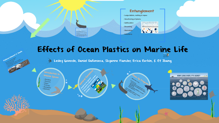 Effects of ocean plastics on marine life by CY ZHANG on Prezi