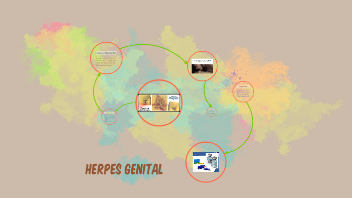 Herpes Genital By Carlos Cerón On Prezi Next