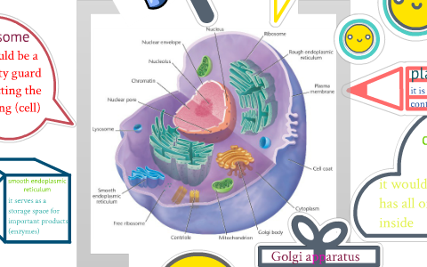 cell analogies collage by sandra kalayjian on Prezi