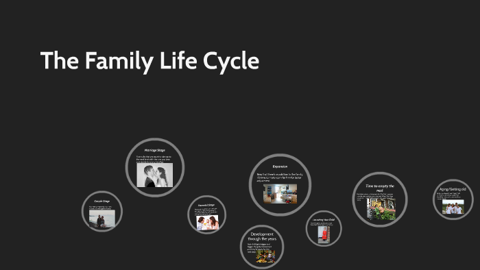 pptx-family-life-cycle-page-64-65-what-is-the-family-life-cycle