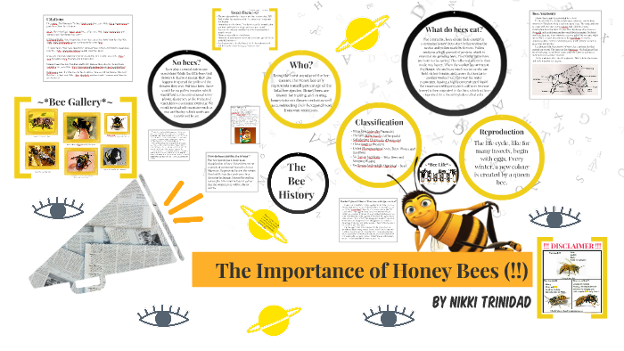 importance of bees essay