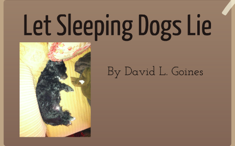 O que significa let sleeping dogs lie ? - Pergunta sobre a Inglês (EUA)