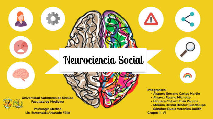 Neurociencia Social By Paulina Higuera On Prezi 8442