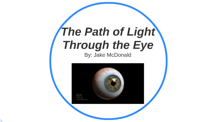 The Path Of Light Through The Eye By Jake Mcdonald