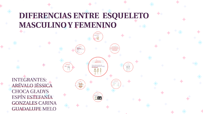 Diferencias Entre El Esqueleto Masculino Y Femenino Pdf