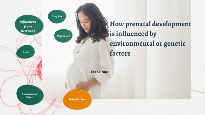 factors affecting prenatal development essay