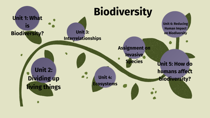 grade 6 biodiversity assignment