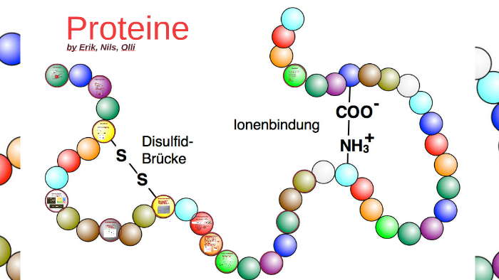 Proteine by Olli Ku