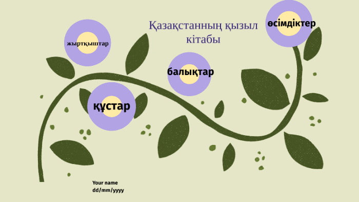 Қазақстан республикасының қызыл кітабы презентация