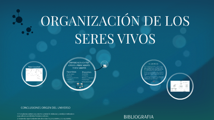 ORGANIZACIÓN DE LOS SERES VIVOS By Paula Gonzalez On Prezi