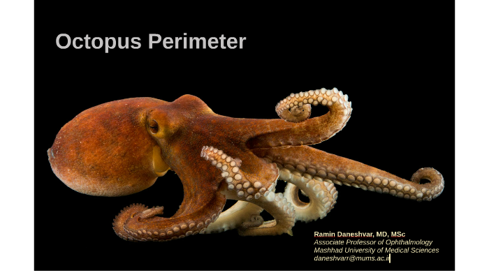 Octopus Perimeter by Ramin Daneshvar on Prezi