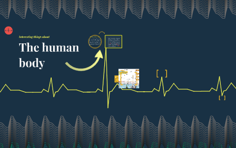 The human body by Julia Ijustdontknow on Prezi