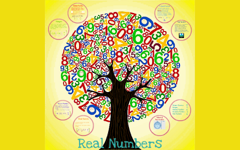 real number system poster