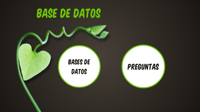 BASES DE DATOS by laura ochoa on Prezi