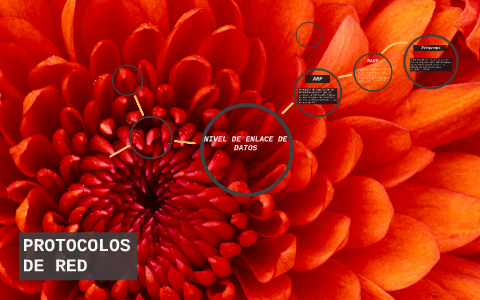 PROTOCOLOS DE RED by Christopher Herrera on Prezi