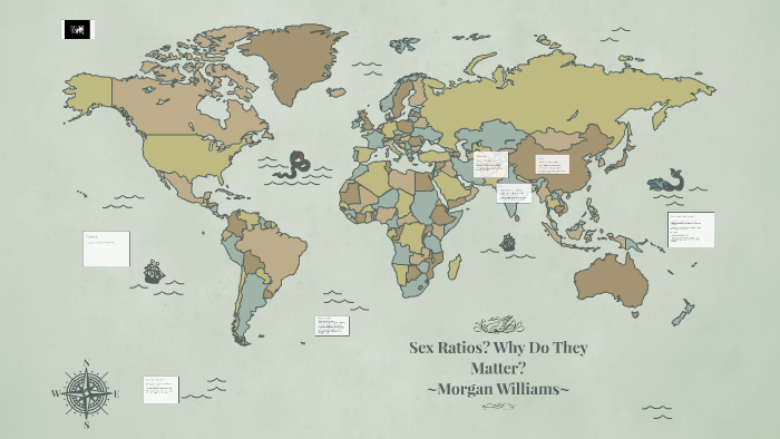 Sex Ratios Why Do They Matter By Morgan Williams On Prezi 3471