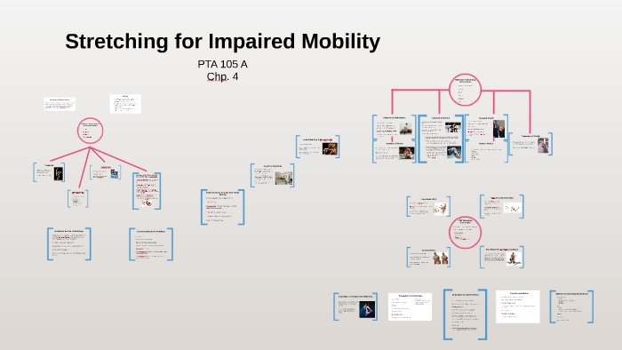 Lecture 4: Stretching For Impaired Mobility By Ashley Ambrosio On Prezi