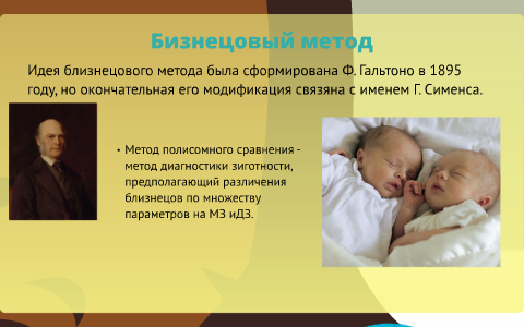 Близнецовый метод егэ. Близнецовый метод в селекции. г сименс близнецовый метод.