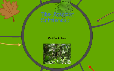 The Amazon Rainforest by Chuck Lam on Prezi