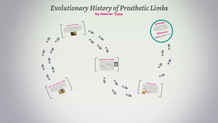 evolutionary-history-of-prosthetic-limbs-by-cameron-trusso