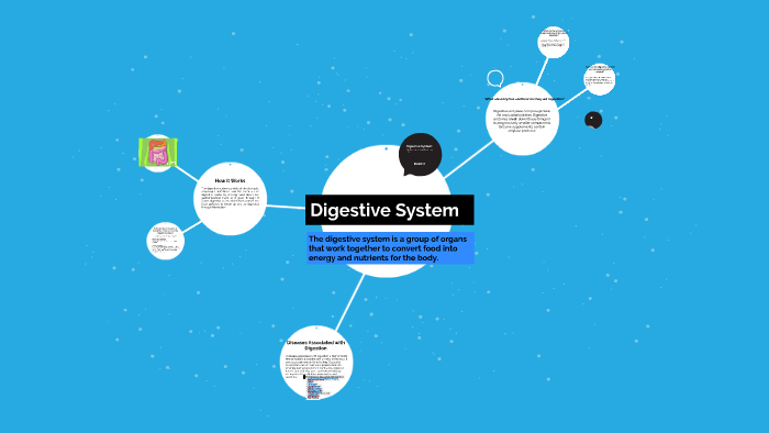 Digestive System by Tyra Roberts on Prezi