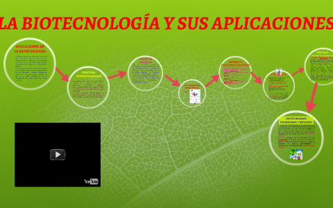 LA BIOTECNOLOGÍA Y SUS APLICACIONES By Rosa Huerta Sanchez