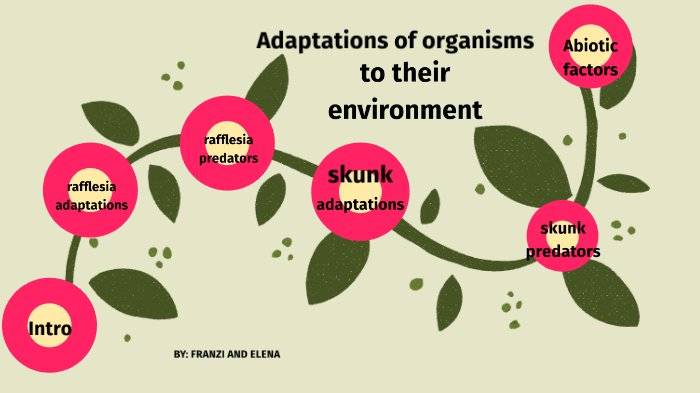 adaptation-of-organisms-to-their-environment-by-elena-s