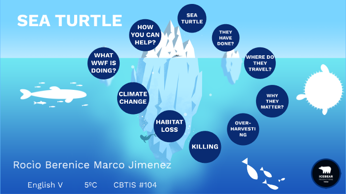 Sea Turtle by ROCIO MARCO on Prezi