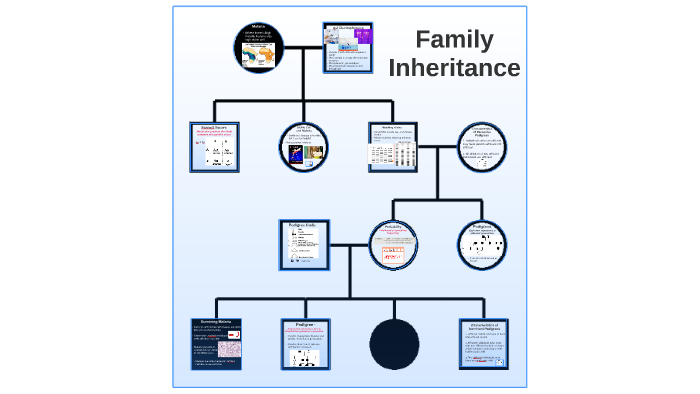 3.4.1 Family Inheritance By Alexa Calkin On Prezi