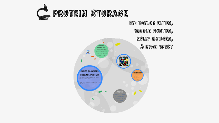 Protein Storage 