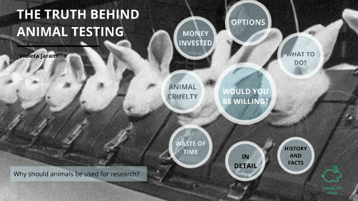 the-truth-behind-animal-testing-by-violeta-jaramillo-on-prezi