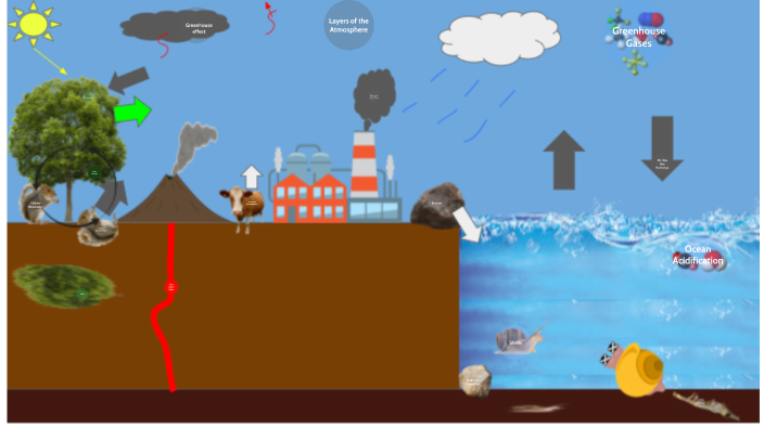 Carbon Cycle by James Dempsey on Prezi