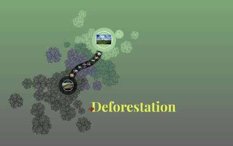 Deforestation by on Prezi
