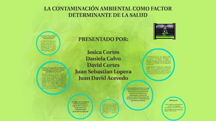 LA CONTAMINACIÓN AMBIENTAL COMO FACTOR DETERMINANTE DE LA SA by Jess