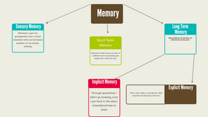 Memory Flowchart by Gabrielle Moore on Prezi Design