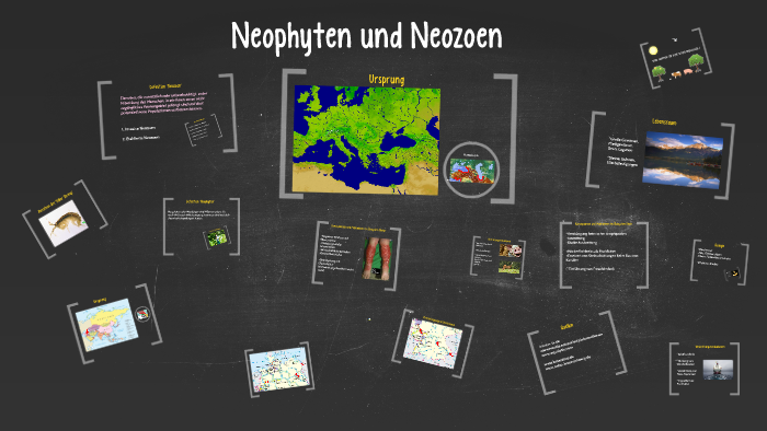 Neozoen Neophyten und Neozoen by Sara Bajraktari on Prezi