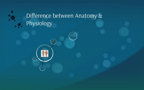 WHAT IS THE DIFFERENCE BETWEEN ANATOMY AND PHYSIOLOGY SHORT ANSWER intelligence overview