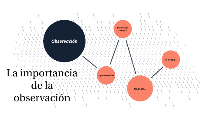 12 Razones Por Las Que Es Importarte Observar – YSREG