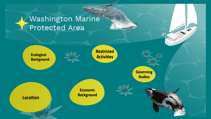 Washington Marine Protected Area by JAMIE MULLEN on Prezi