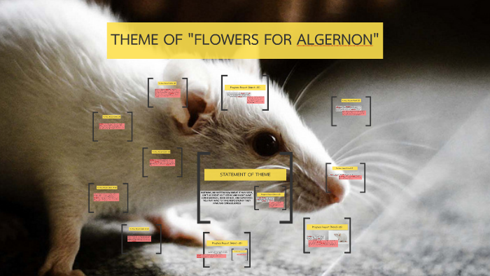 Theme Of Flowers For Algernon By
