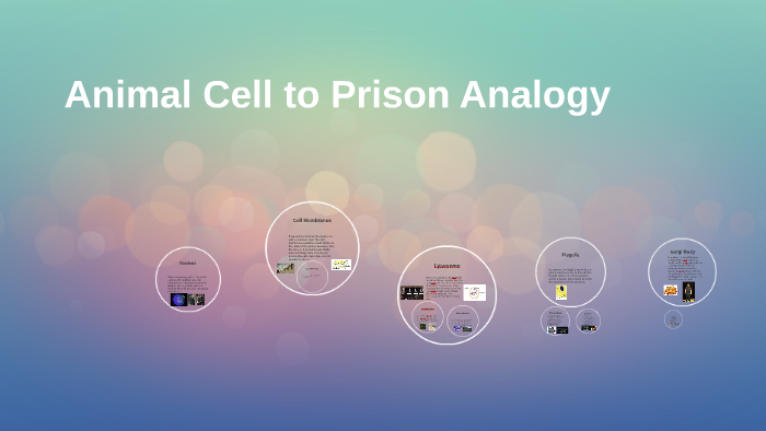 Animal Cell To Prison Analogy By Alex Benton