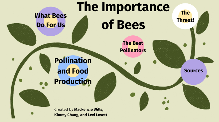 The Importance of Bees by Mackenzie Wills on Prezi