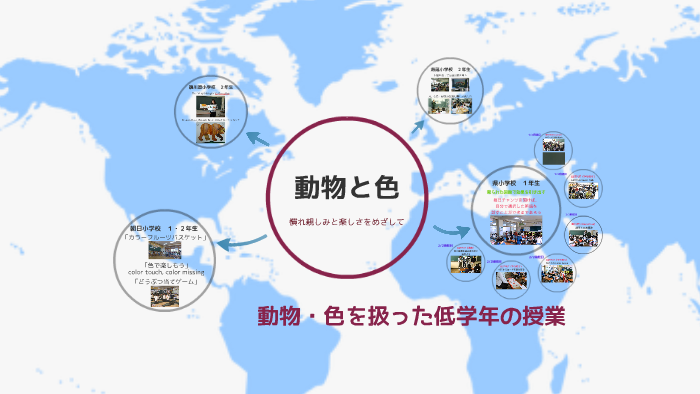 動物 色を扱った低学年の授業 By Takehisa Sugimoto
