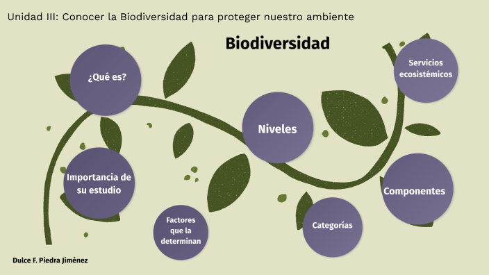 Tipos De Biodiversidad By Dulce Flor Piedra On Prezi