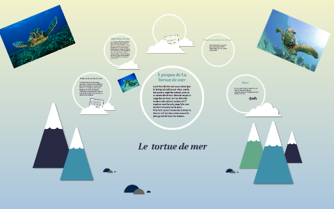 The Sea Turtle by josh levesque on Prezi