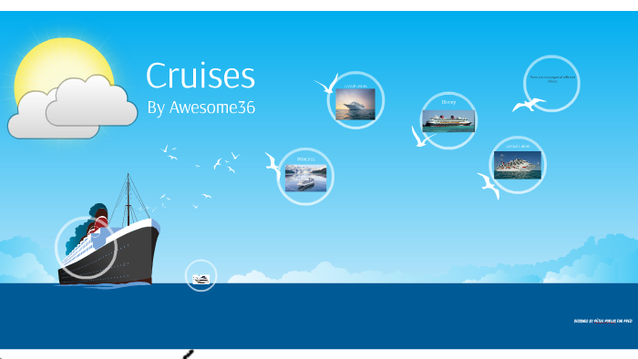 explain the different types of cruise lines class 12