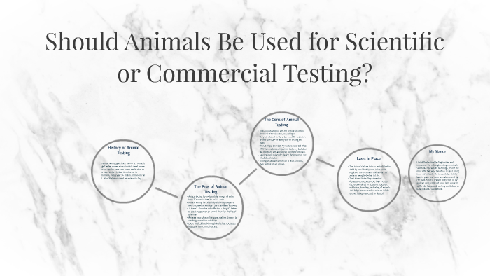 should-animals-be-used-for-scientific-or-commercial-testing-by-mason